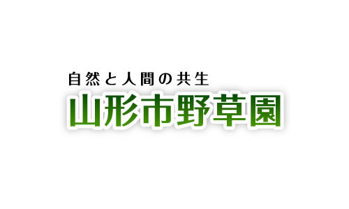 令和7年度 野草園写真コンテスト 入賞作品展示